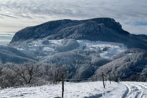 Imagine WhatsApp 2025-11-07 la 18.10.03_b006948e