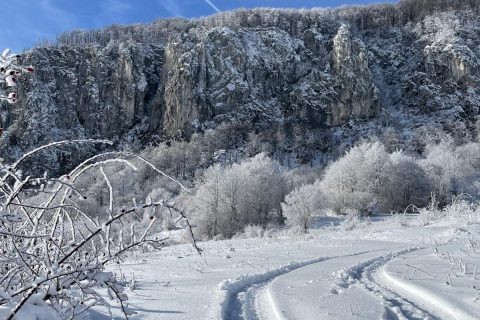 Imagine WhatsApp 2025-11-07 la 18.10.52_d58909dc