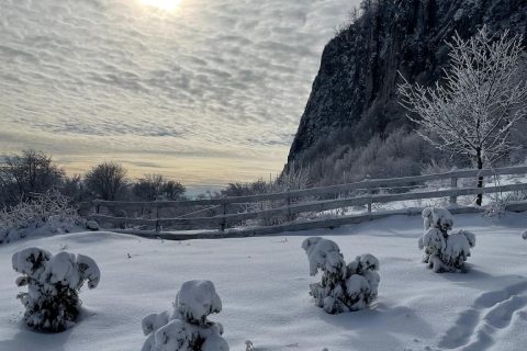 Imagine WhatsApp 2025-11-07 la 18.12.43_84492302