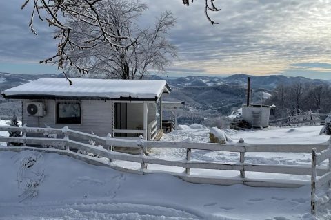 Imagine WhatsApp 2025-11-07 la 18.13.03_42680404