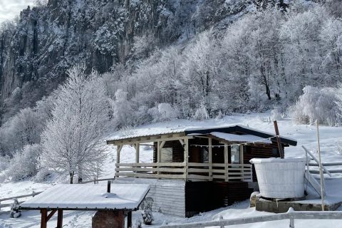 Imagine WhatsApp 2025-11-07 la 18.13.25_5932e3f7