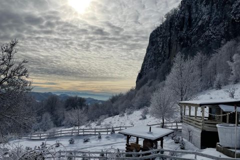 Imagine WhatsApp 2025-11-07 la 18.14.35_7c14c0ab