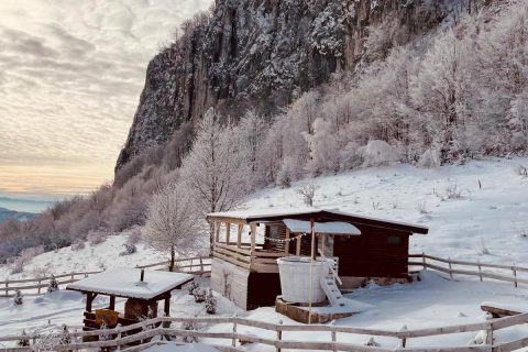 Imagine WhatsApp 2025-11-07 la 18.14.43_5854a2af