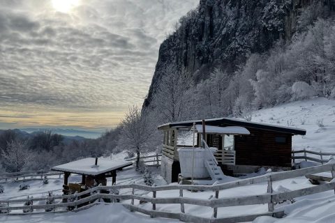 Imagine WhatsApp 2025-11-07 la 18.15.07_2718193e