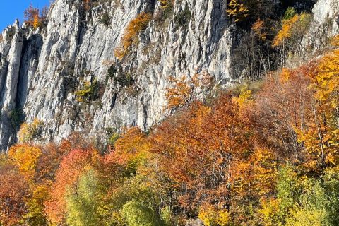 Imagine WhatsApp 2025-11-07 la 18.18.10_a6f4e1c9