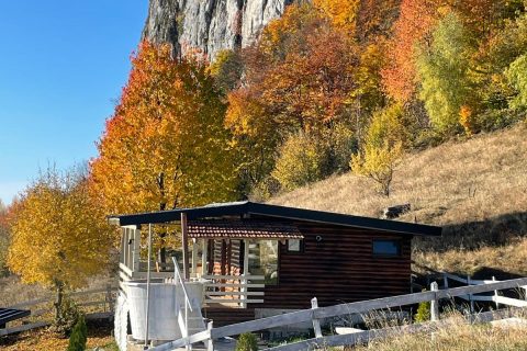 Imagine WhatsApp 2025-11-07 la 18.18.22_e5106ad6