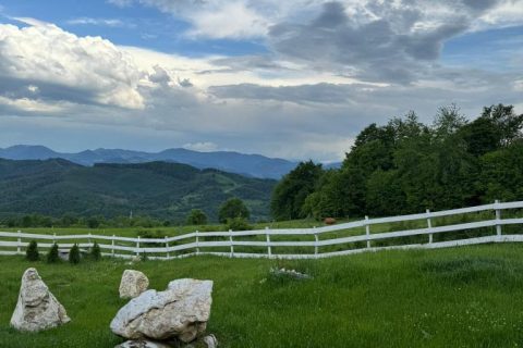 Imagine WhatsApp 2025-11-07 la 18.21.03_96c4f4cc