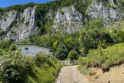 Imagine WhatsApp 2025-11-07 la 18.21.37_e923164e