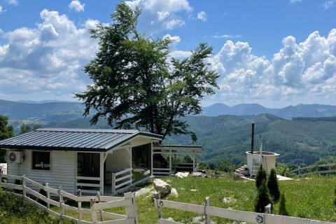 Imagine WhatsApp 2025-11-07 la 18.22.11_8bf624a9