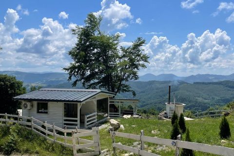 Imagine WhatsApp 2025-11-07 la 18.22.18_a53deccc