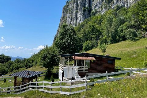 Imagine WhatsApp 2025-11-07 la 18.22.34_4febe1ee