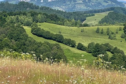 Imagine WhatsApp 2025-11-07 la 18.23.15_118449ab